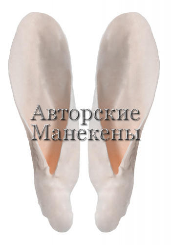 Уши коза домашняя