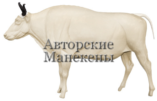 Манекен зубр (самка) ЗБРМ-2
