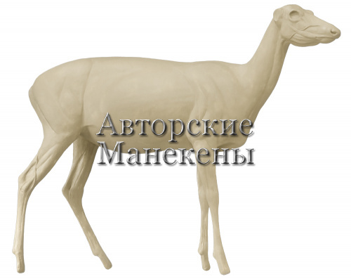 Манекен олень пятнистый (самка) ОЛПМ-3 П