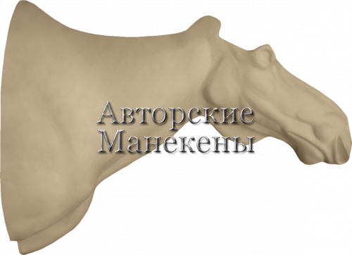 Манекен лось европейский ЛСЕТ-1