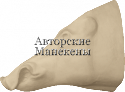 Манекен кабан КБНТ-6 Л