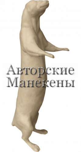 Манекен выдра ВДРМ-3