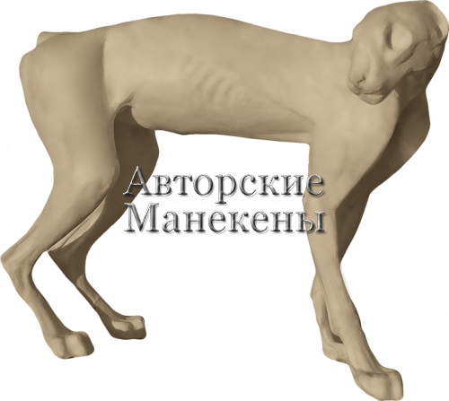 Манекен рысь европейская РЫСМ-5 П