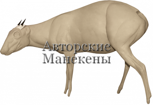 Манекен дукер черноспинный (бэй) ДУЧМ-1 Л