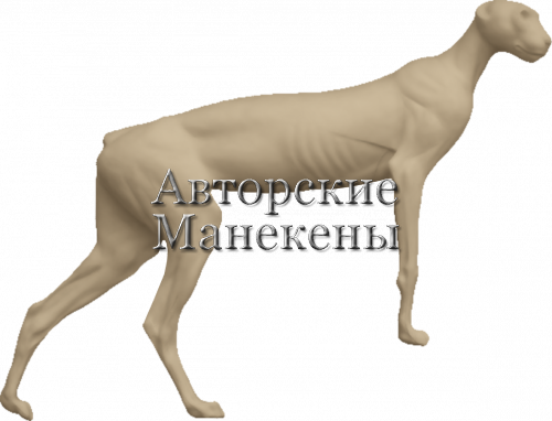 Манекен гепард ГЕПМ-4 П