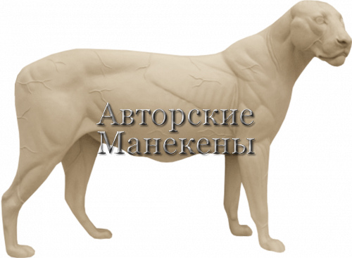 Манекен лев ЛЕВМ-6 П