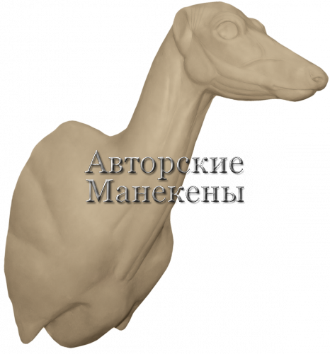 Манекен олень пятнистый (самка) ОЛПТ-7