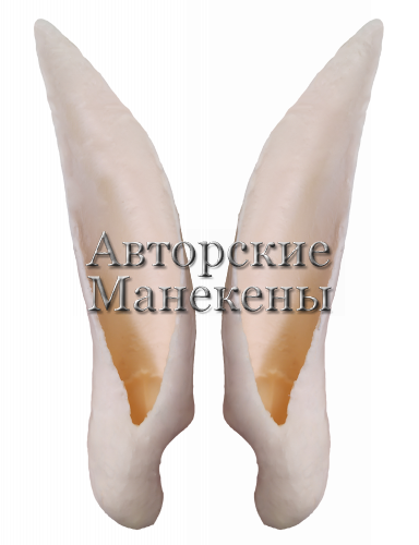 Уши коза снежная