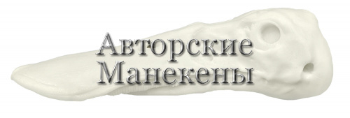 Голова широконоска (самец)