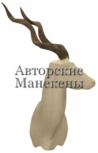Манекен куду малый КУМТ-2 Л