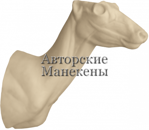 Манекен косуля сибирская КССТ-3 П