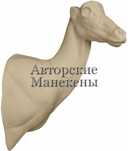 Манекен импала ИМЛТ-2 П