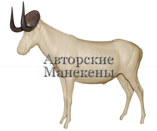 Манекен гну черный (белохвостый) ГНБМ-1 Л