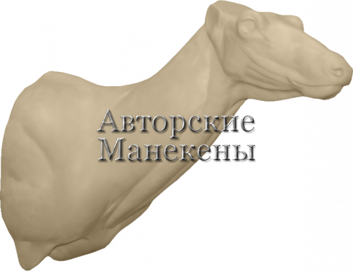 Манекен марал (вапити) МРЛТ-4 П