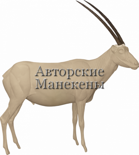 Манекен орикс аравийский (белый) ОРАМ-1 П