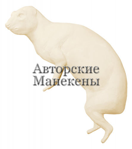 Манекен даман (взрослый) ДМНМ-2 Л
