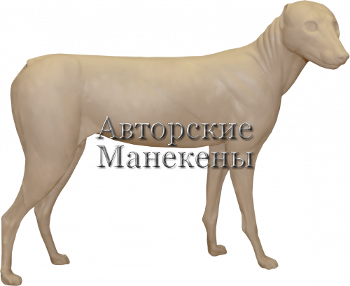 Манекен шакал азиатский ШКЛМ-2 П
