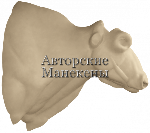 Манекен зубр ЗБРТ-2