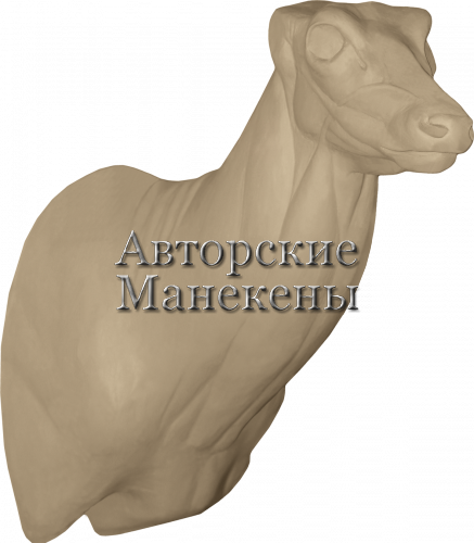 Манекен олень аксис ОАКТ-1 П