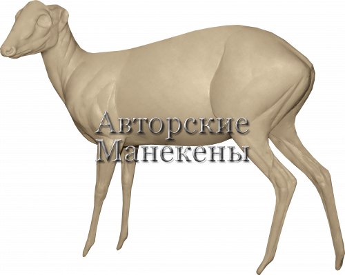 Манекен дукер красный ДКРМ-1 Л