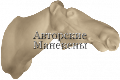 Манекен лось европейский ЛСЕТ-6-2