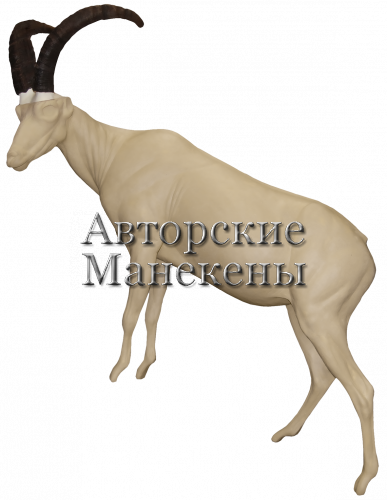 Манекен козерог испанский (рондо) КЗИМ-1 Л