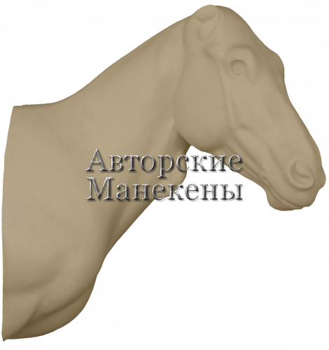 Манекен зебра горная ЗЕБТ-1 П