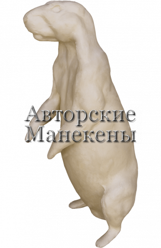 Манекен сурок СУРМ-2