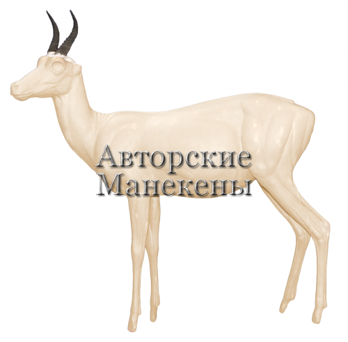 Манекен ридбок горный РИГМ-1 Л