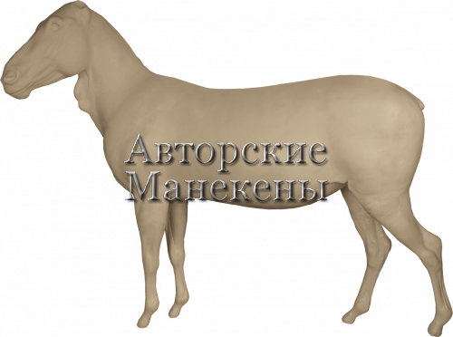 Манекен зебра горная ЗЕБМ-1 Л