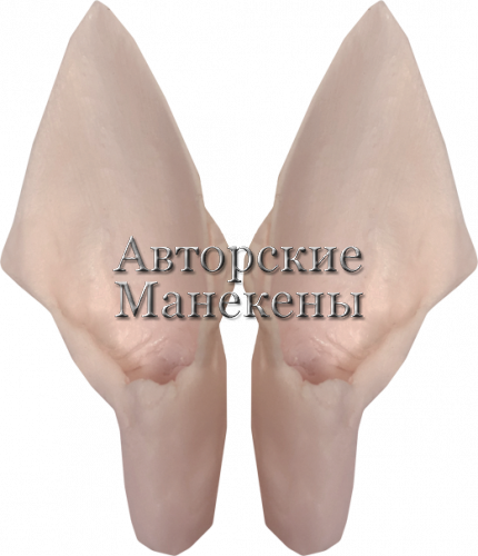 Уши корсак