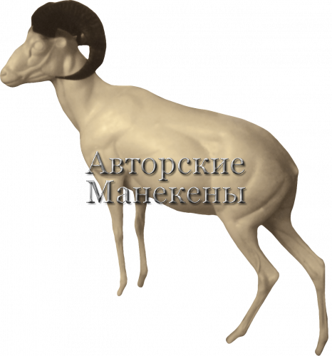 Манекен муфлон европейский МФЕМ-1 Л