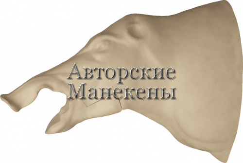 Манекен кабан КБНТ-4 Л