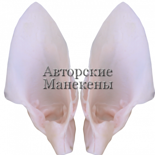 Уши шакал