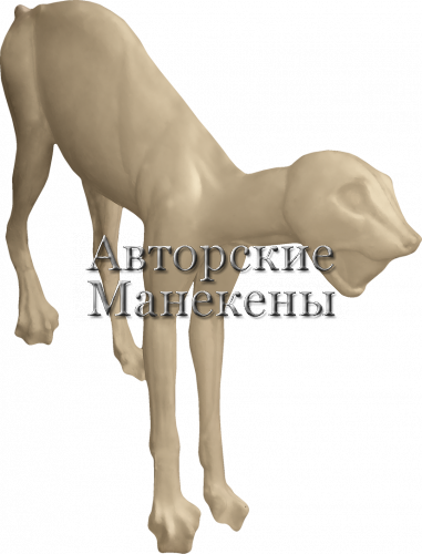 Манекен рысь европейская РЫСМ-8