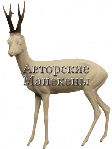 Манекен косуля европейская КСЕМ-1 Л