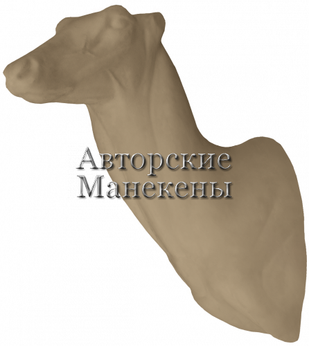 Манекен олень пятнистый ОЛПТ-2 Л