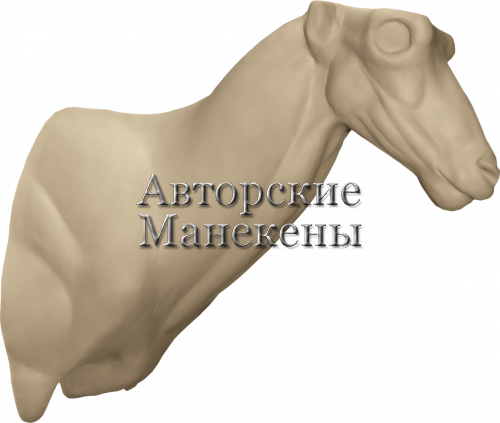 Манекен козерог испанский (гредос) КЗИТ-2