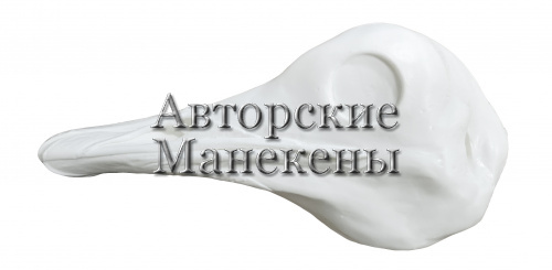 Голова страус