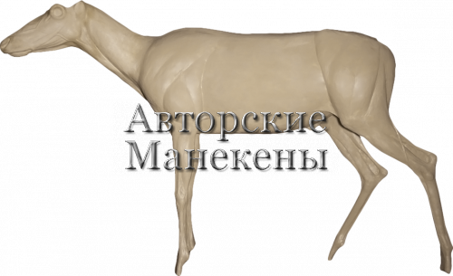 Манекен олень северный СОЛМ-1 Л