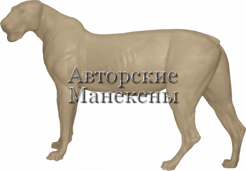 Манекен лев (самка) ЛЕВМ-3 Л