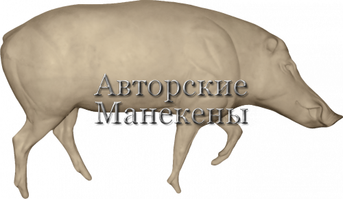 Манекен кабан КБНМ-2 П