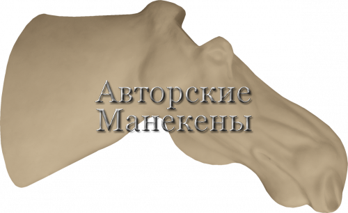 Манекен лось европейский ЛСЕТ-2-2