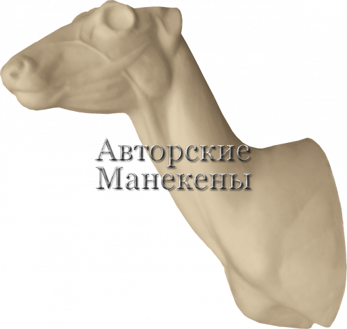Манекен косуля сибирская КССТ-4 Л