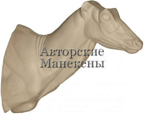 Манекен ньяла НЯЛТ-2