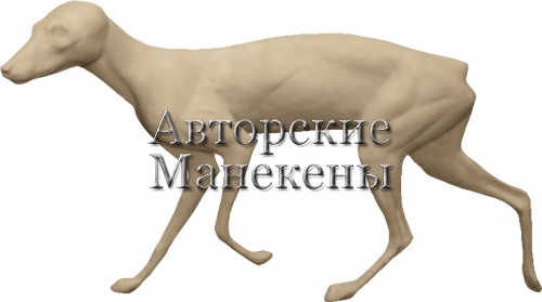 Манекен корсак ЛКРМ-3 Л