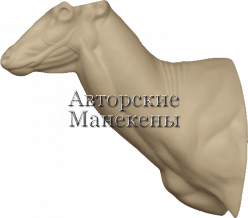 Манекен олень благородный ОЛБТ-11