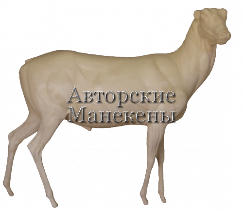 Манекен олень благородный ОЛБМ-2 П