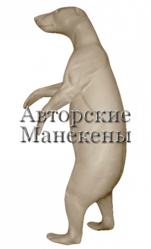 Манекен медведь бурый МДВМ-21 Л