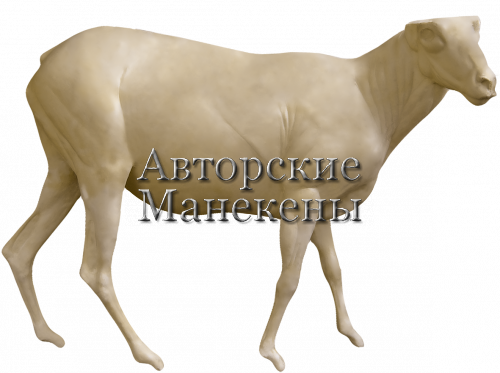 Манекен козерог сибирский КЗРМ-5 П